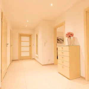 Basha Premium 1 Sopot